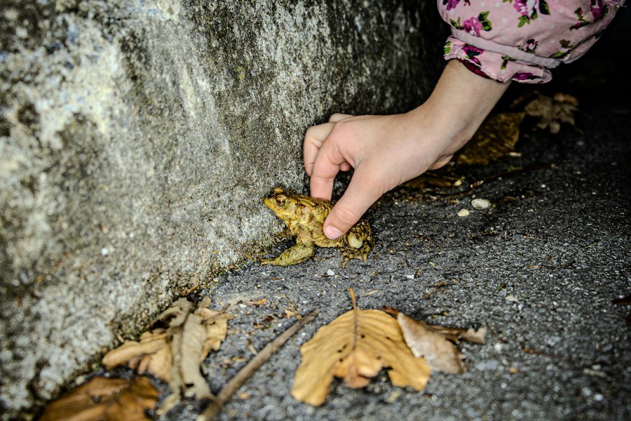 save for children